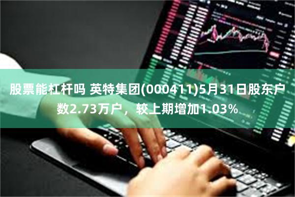 股票能杠杆吗 英特集团(000411)5月31日股东户数2.73万户，较上期增加1.03%