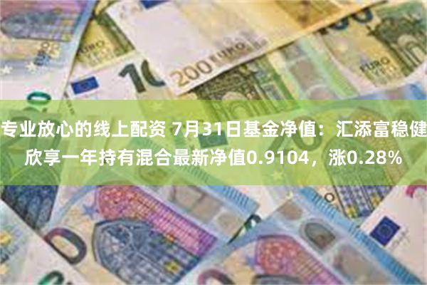 专业放心的线上配资 7月31日基金净值：汇添富稳健欣享一年持有混合最新净值0.9104，涨0.28%