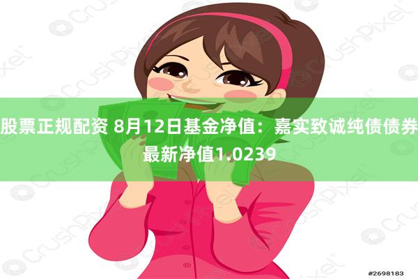 股票正规配资 8月12日基金净值：嘉实致诚纯债债券最新净值1.0239