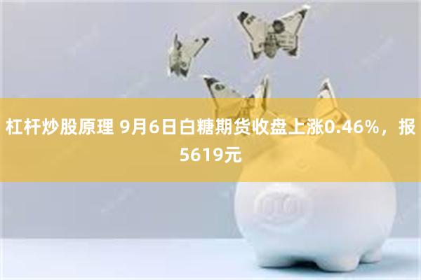 杠杆炒股原理 9月6日白糖期货收盘上涨0.46%，报5619元