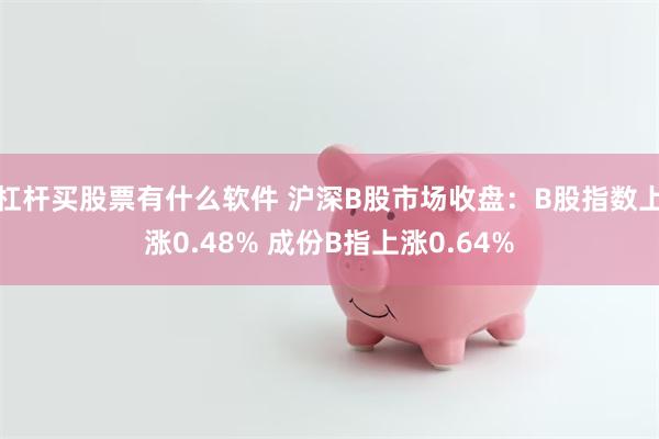 杠杆买股票有什么软件 沪深B股市场收盘：B股指数上涨0.48% 成份B指上涨0.64%