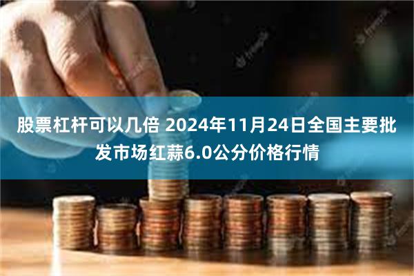 股票杠杆可以几倍 2024年11月24日全国主要批发市场红蒜6.0公分价格行情