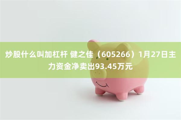 炒股什么叫加杠杆 健之佳（605266）1月27日主力资金净卖出93.45万元